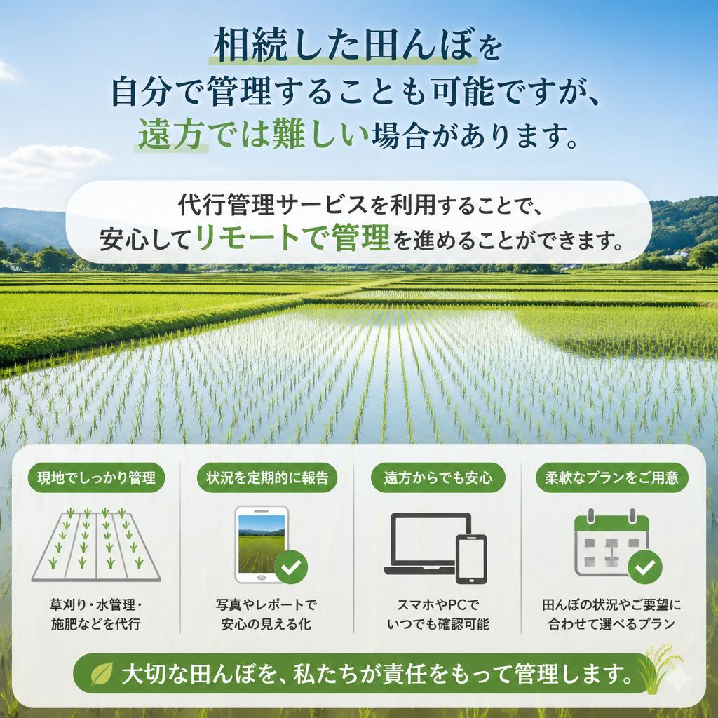田んぼの管理方法について