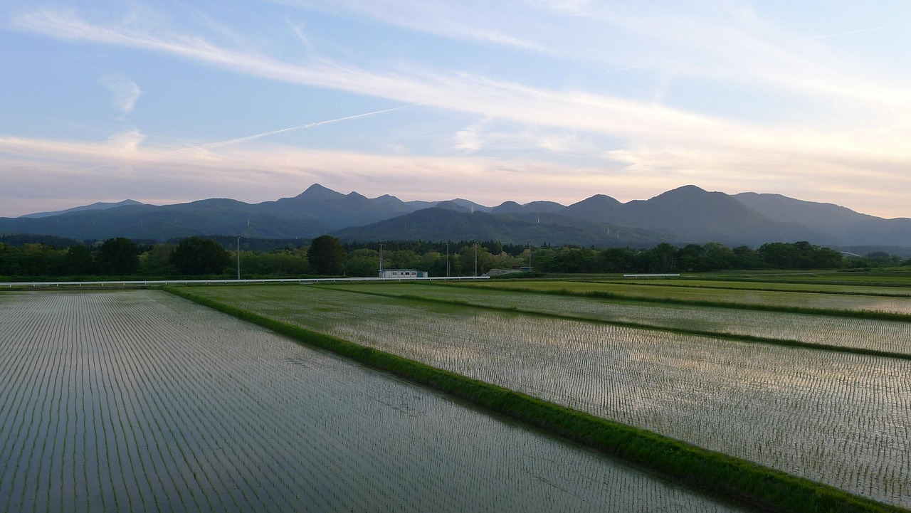 相続した土地、スムーズに売却しませんか？